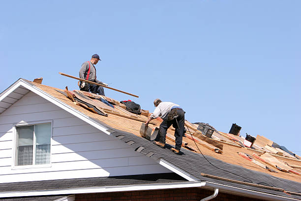 Best Roofing for New Construction  in Beech Island, SC