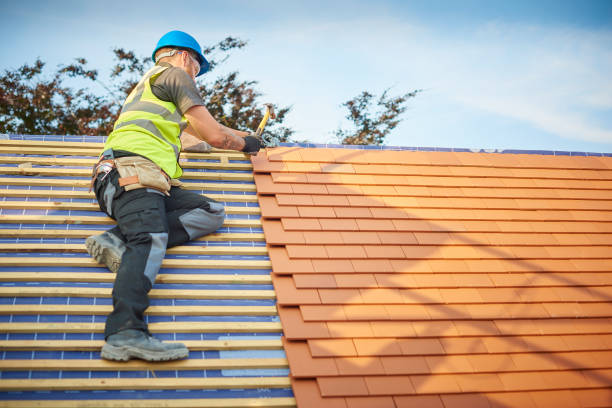Best Wood Shake Roofing  in Beech Island, SC